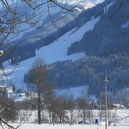 Apartment In Saalfelden Near Slopes, Cleaning Included *